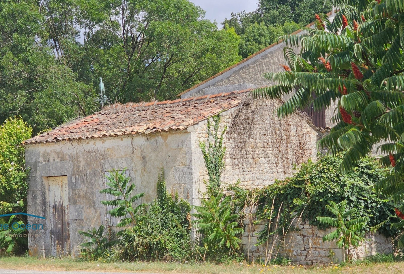 vente Maison Saint Romain De Benet - Photo 9