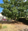 vente Maison individuelle Narbonne