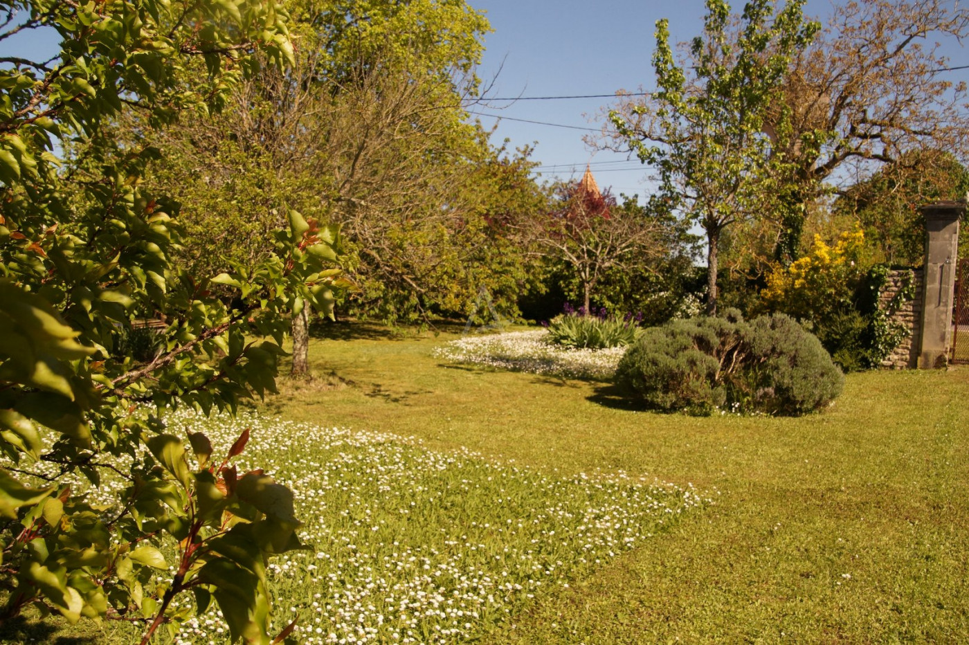 vente Maison de caractère Champniers - Photo 5