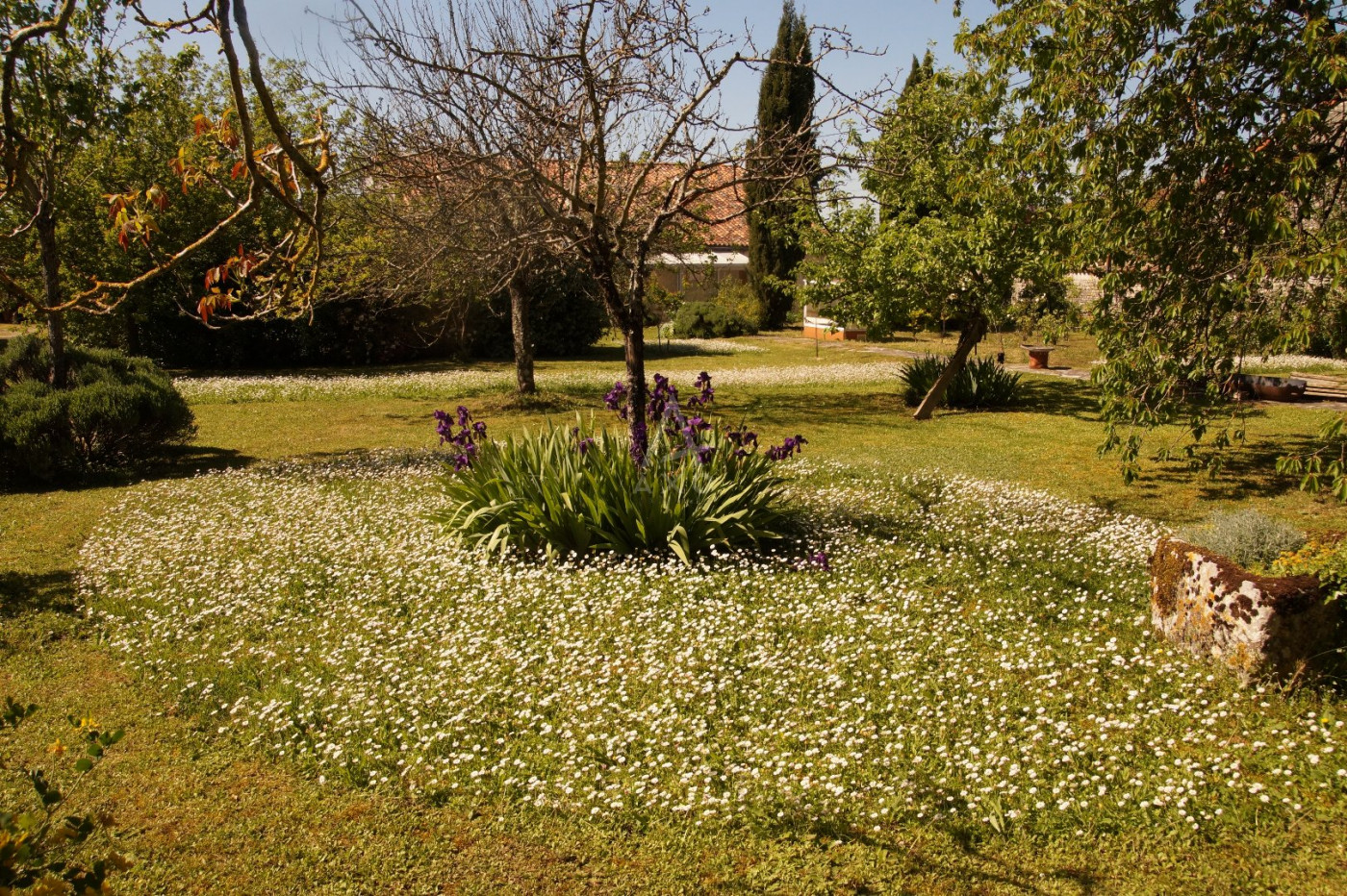 vente Maison de caractère Champniers - Photo 15