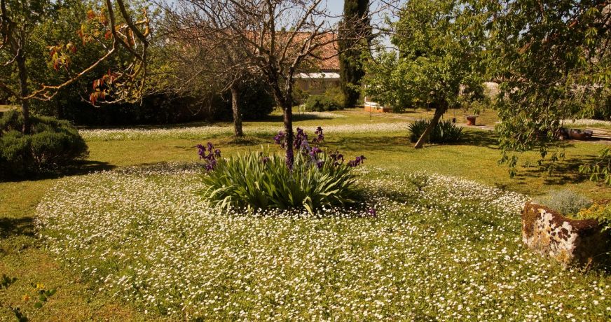 vente Maison de caractère Champniers