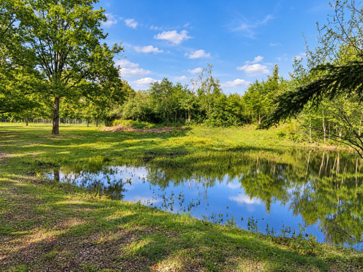 vente Terrain de loisir Conflans Sur Loing - Photo 2