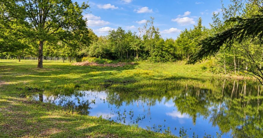 vente Terrain de loisir Conflans Sur Loing