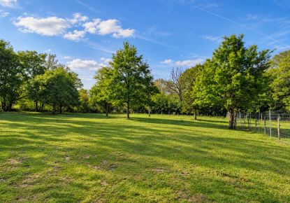 vente Terrain de loisir Conflans Sur Loing