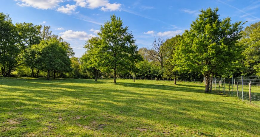 vente Terrain de loisir Conflans Sur Loing
