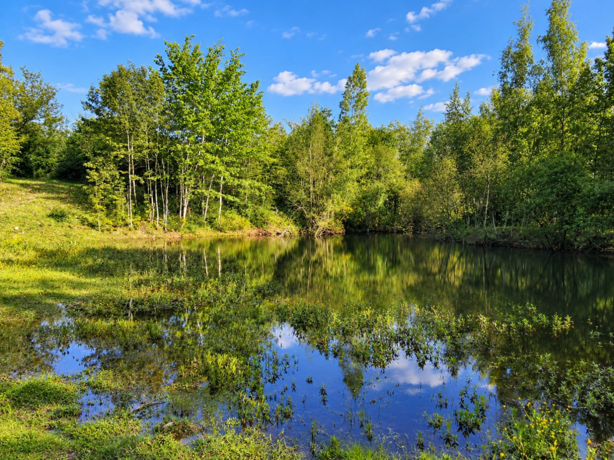 vente Terrain de loisir Conflans Sur Loing - Photo 3