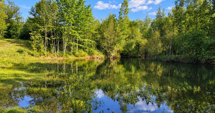 vente Terrain de loisir Conflans Sur Loing