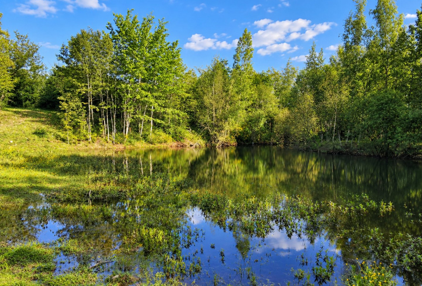 vente Terrain de loisir Conflans Sur Loing - Photo 3