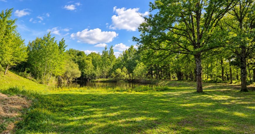 vente Terrain de loisir Conflans Sur Loing