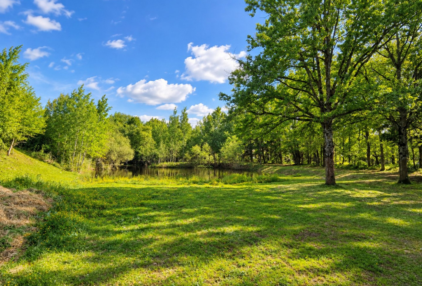 vente Terrain de loisir Conflans Sur Loing - Photo 4