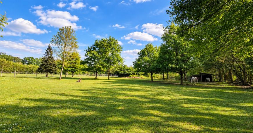 vente Terrain de loisir Conflans Sur Loing
