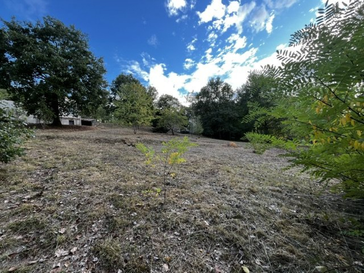vente Maison et terrain Bonny Sur Loire - Photo 14
