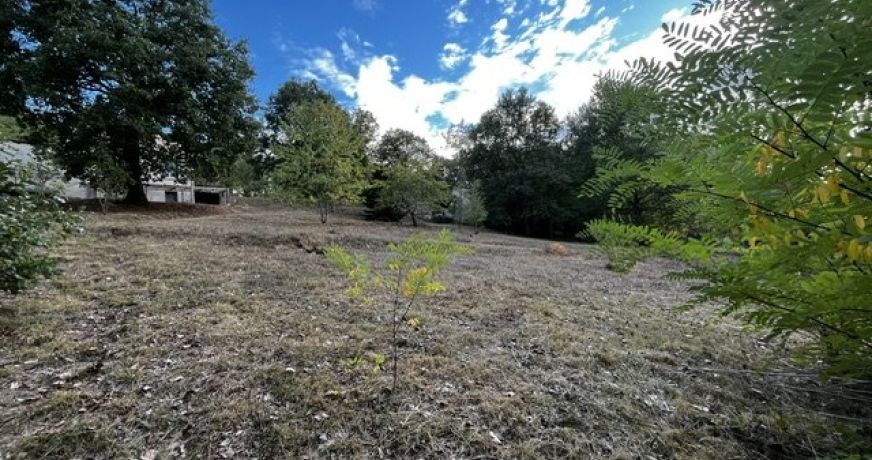 vente Maison et terrain Bonny Sur Loire