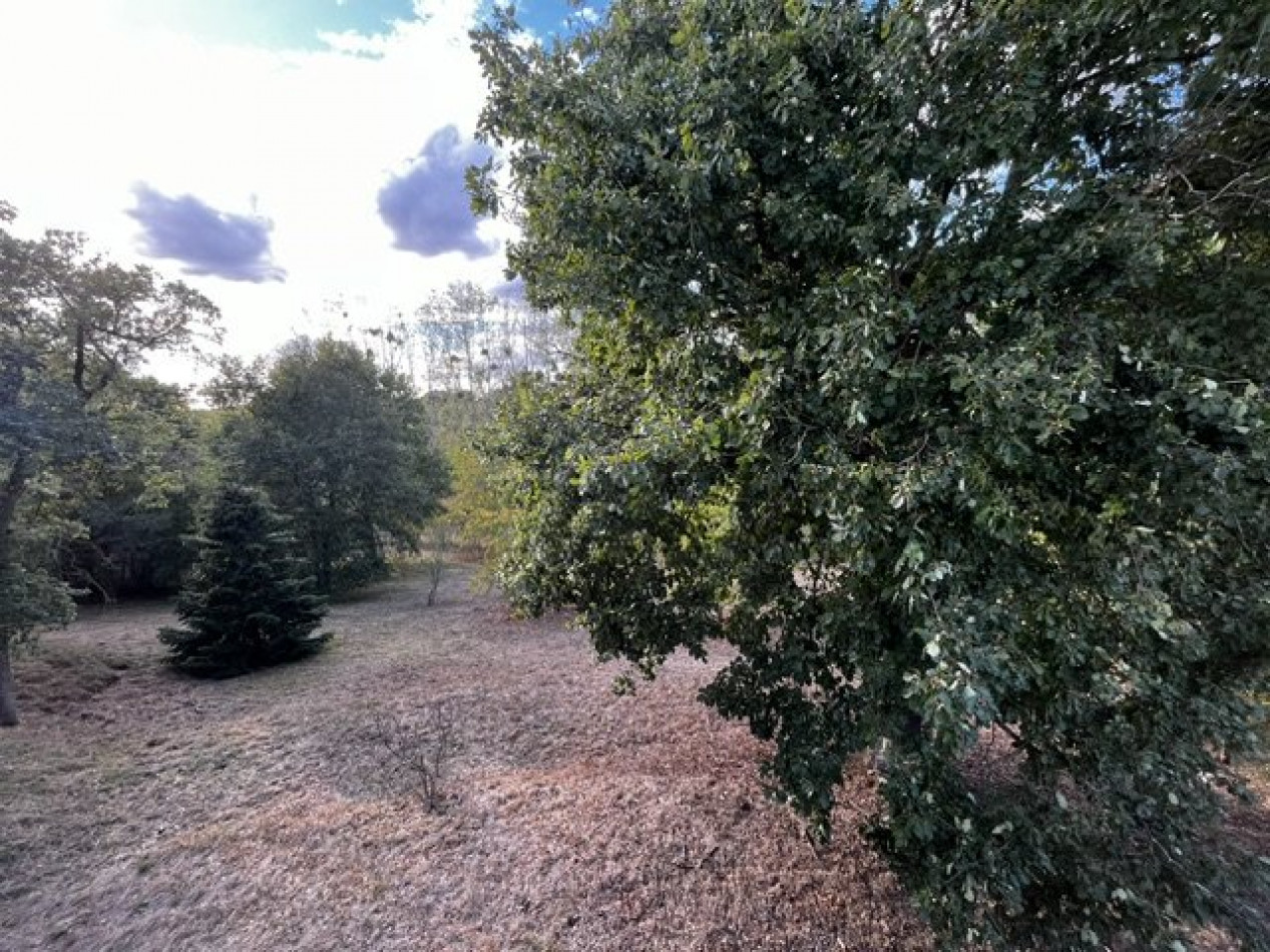 vente Maison et terrain Bonny Sur Loire - Photo 15