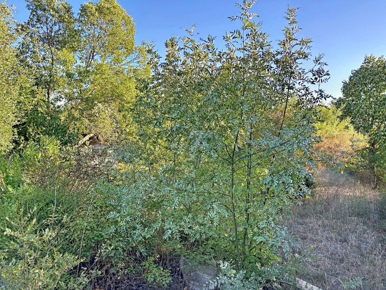 vente Maison Vallegue - Photo 10