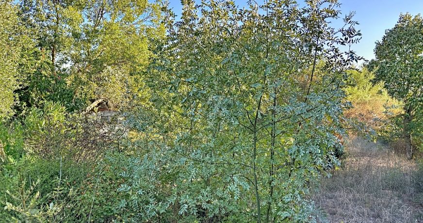 vente Maison Vallegue