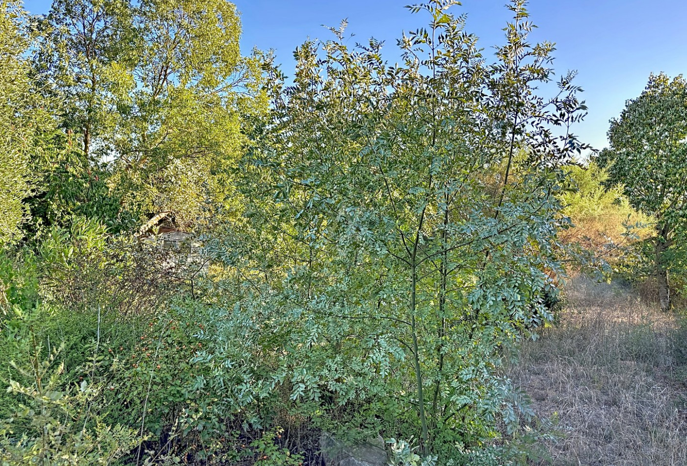 vente Maison Vallegue - Photo 10