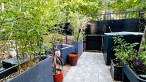 vente Maison de ville Villemomble
