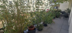 vente Appartement Colombes