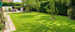 vente Maison Steenvoorde