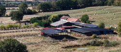 vente Haras / equestre Mortagne Au Perche