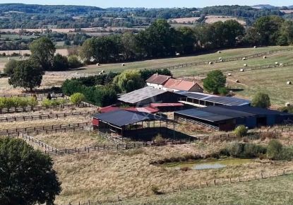 vente Haras / equestre Mortagne Au Perche
