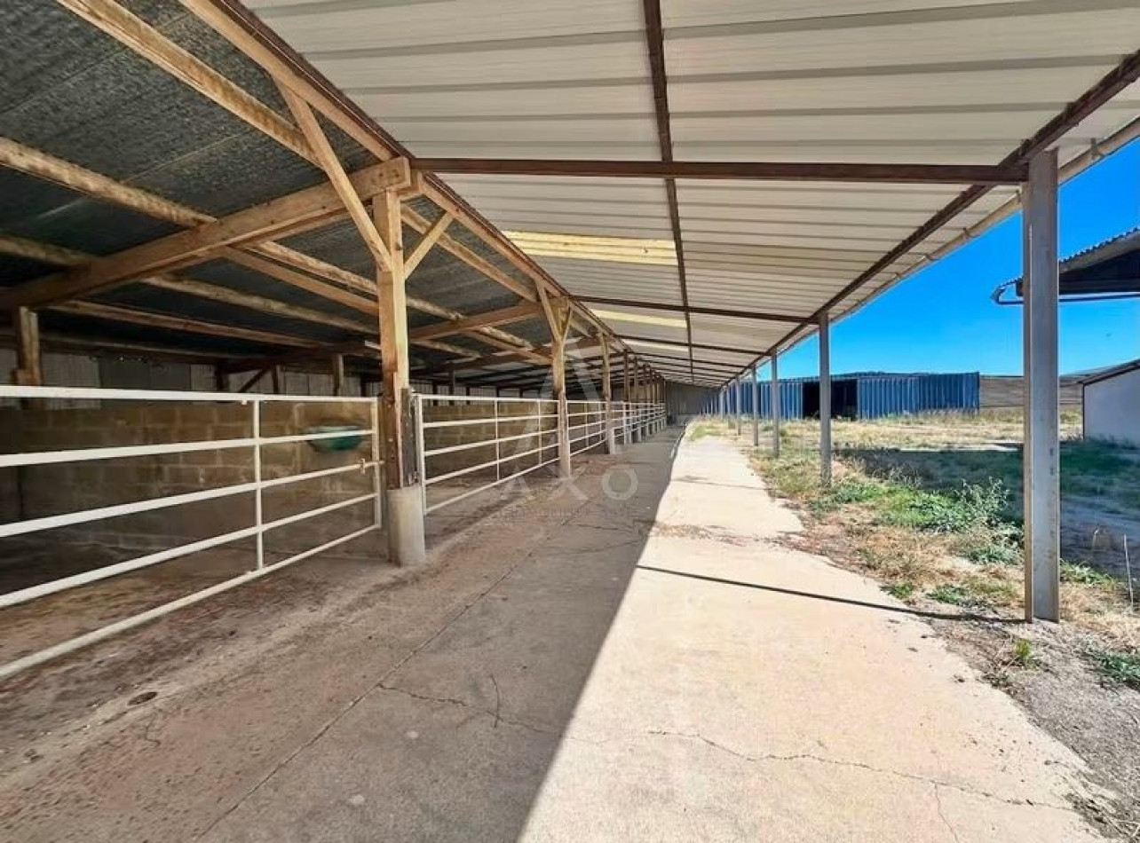 vente Haras / equestre Mortagne Au Perche - Photo 3