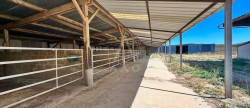 vente Haras / equestre Mortagne Au Perche