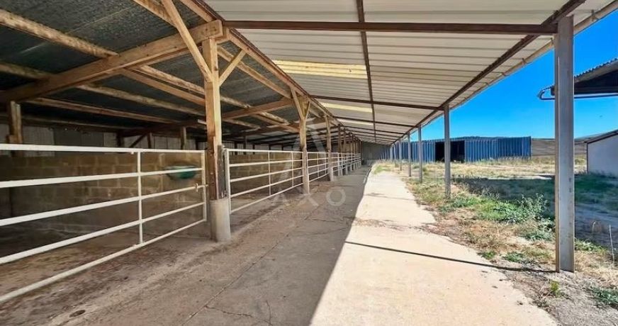 vente Haras / equestre Mortagne Au Perche