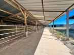 vente Haras / equestre Mortagne Au Perche