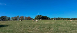 vente Haras / equestre Mortagne Au Perche