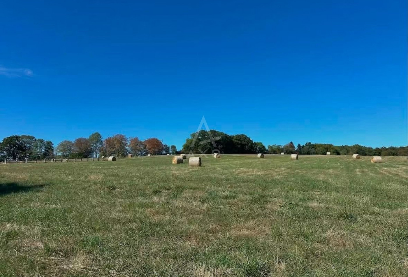 vente Haras / equestre Mortagne Au Perche - Photo 5
