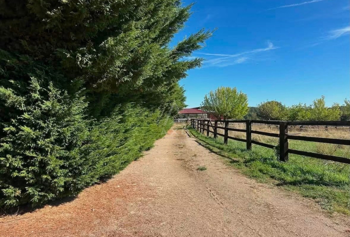 vente Haras / equestre Mortagne Au Perche - Photo 6