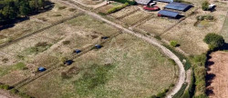 vente Haras / equestre Mortagne Au Perche