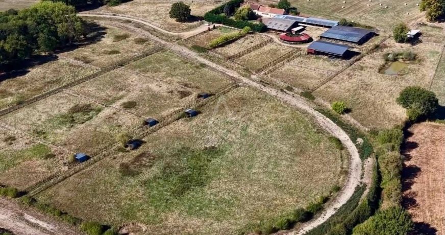 vente Haras / equestre Mortagne Au Perche