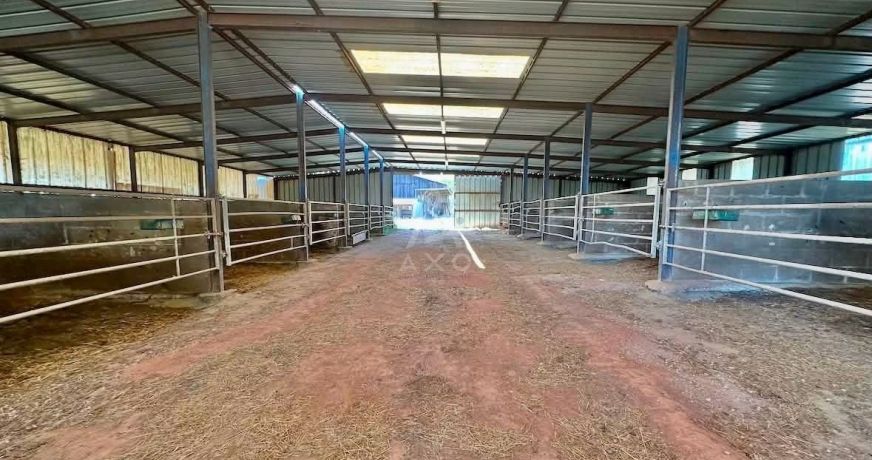 vente Haras / equestre Mortagne Au Perche