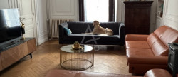vente Maison Ay