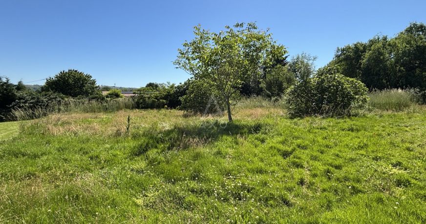 vente Terrain constructible La Magdelaine Sur Tarn