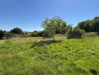 vente Terrain constructible La Magdelaine Sur Tarn
