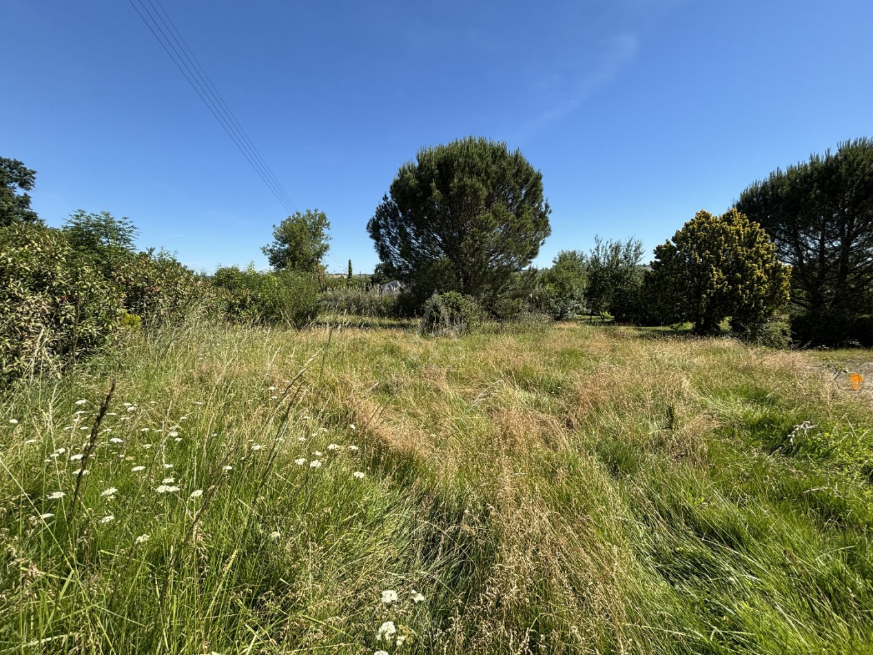 vente Terrain constructible La Magdelaine Sur Tarn - Photo 1