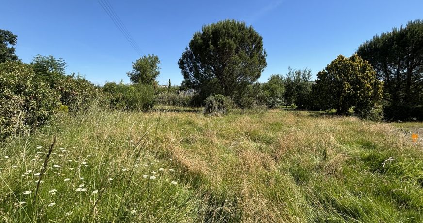 vente Terrain constructible La Magdelaine Sur Tarn