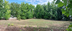 vente Terrain constructible Royan