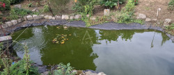 vente Longere Cropus