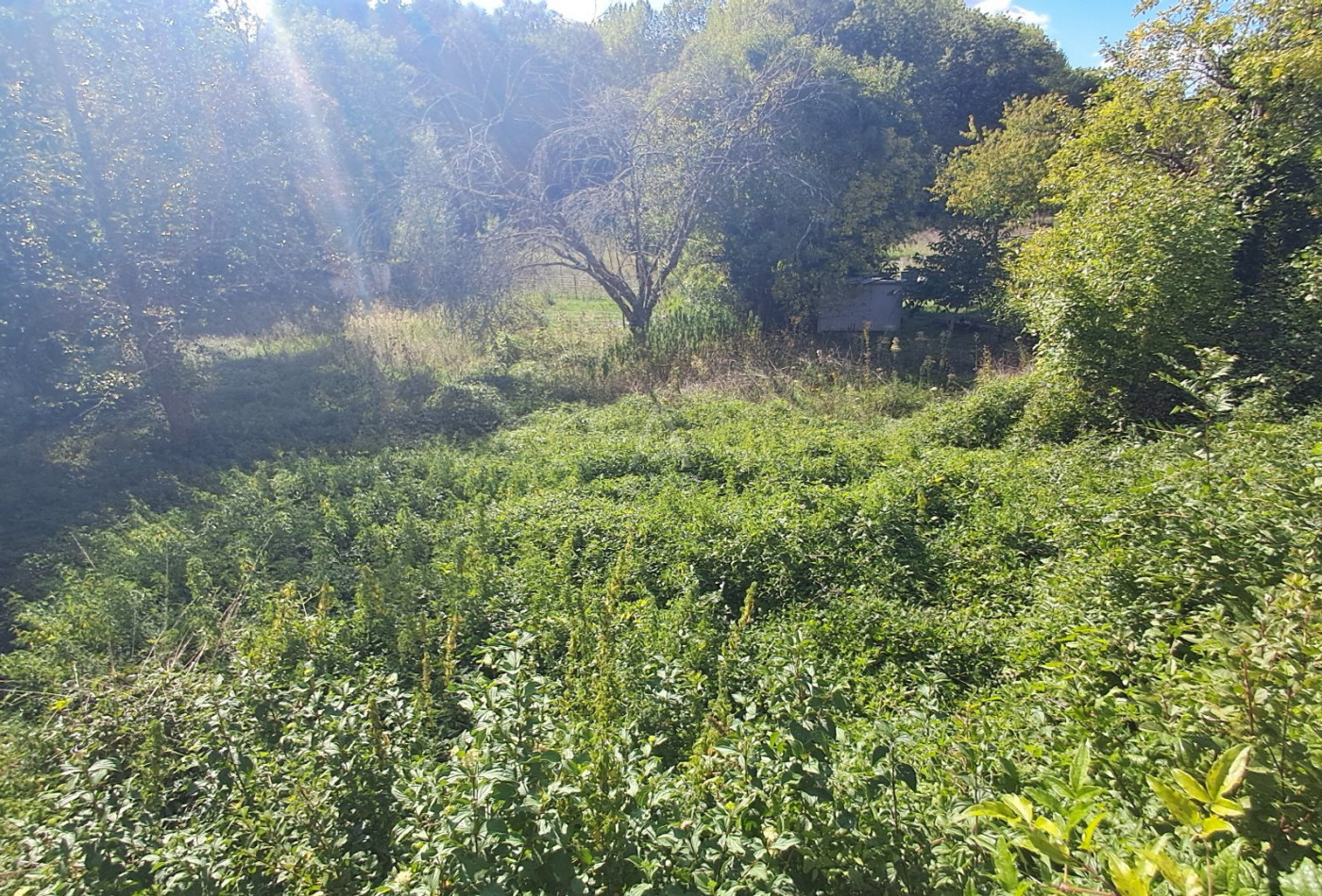 vente Maison Vouharte - Photo 5