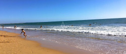 vente Appartement en résidence Dolus D'oleron