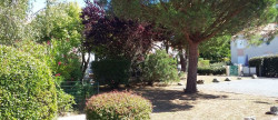 vente Appartement en résidence Dolus D'oleron