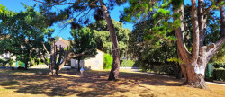 vente Appartement en résidence Dolus D'oleron