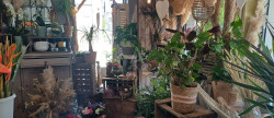 vente Fleuriste Les Grandes Ventes