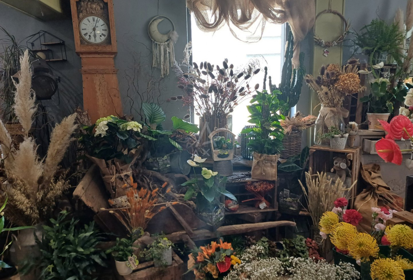 vente Fleuriste Les Grandes Ventes - Photo 5