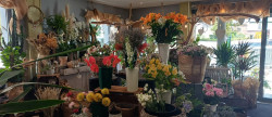 vente Fleuriste Les Grandes Ventes